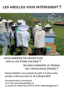 Cours de sensibilisation à l'Apiculture